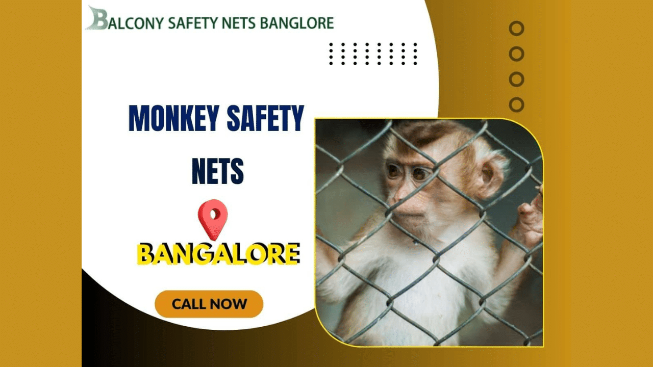 Monkey Safety Net in Bangalore