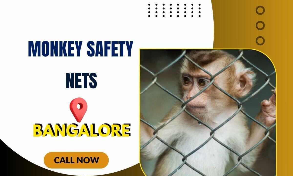 Monkey Safety Net in Bangalore