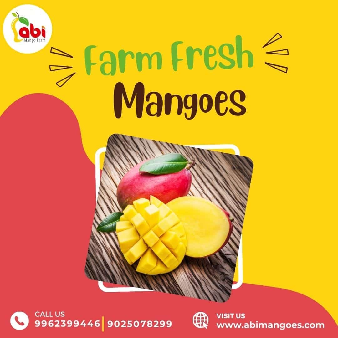 Buy Premium 100% Organic Mangoes in Namakkal | Abi Mango Farm