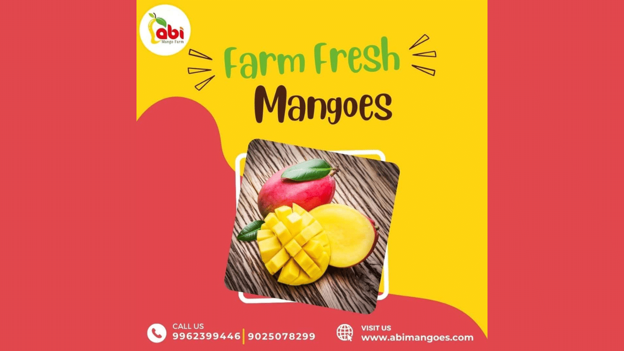 Buy Premium 100% Organic Mangoes in Namakkal | Abi Mango Farm
