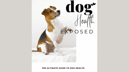 Perfect-Guide-For-Imperfect-Dog-Owners-1