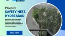 Pigeon Net For Balcony Hyderabad | Toskie