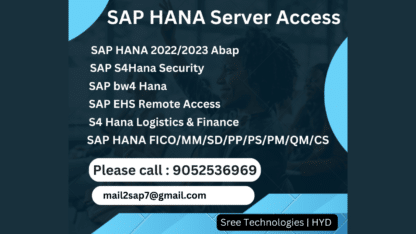 SAP-S4-HANA-All-Modules-Remote-Server-Access