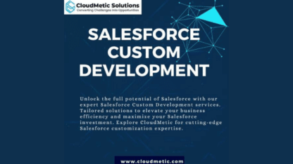 Salesforce-Custom-Development