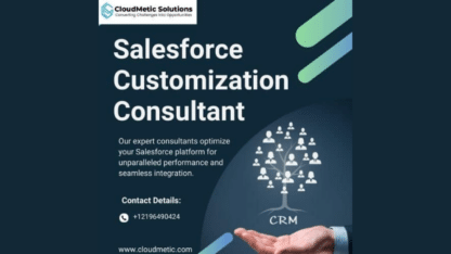 Salesforce-Customization-Consultant-CloudMetic