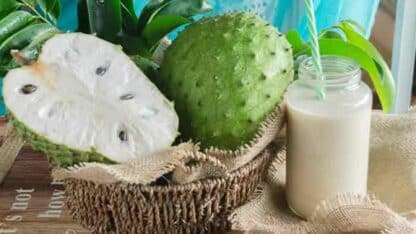 What-Are-the-Health-Benefits-of-Soursop-Bitters