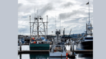AMSA Marine Surveys For DCV​​​​ in Australia | PMS Marine Services