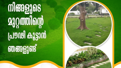 Best-Garden-Landscaping-WorksCompanies-Rajakumari-Rajakkad-Santhanpara-Elappara-Marayoor-Kuttikkanam-Kanjikuzhi-Moolamattom