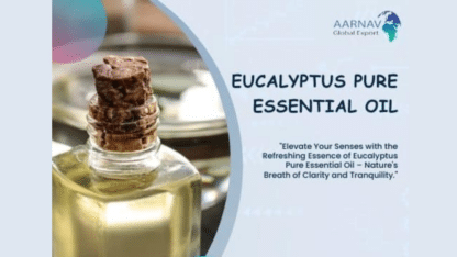 Eucalyptus-Pure-Essential-Oil