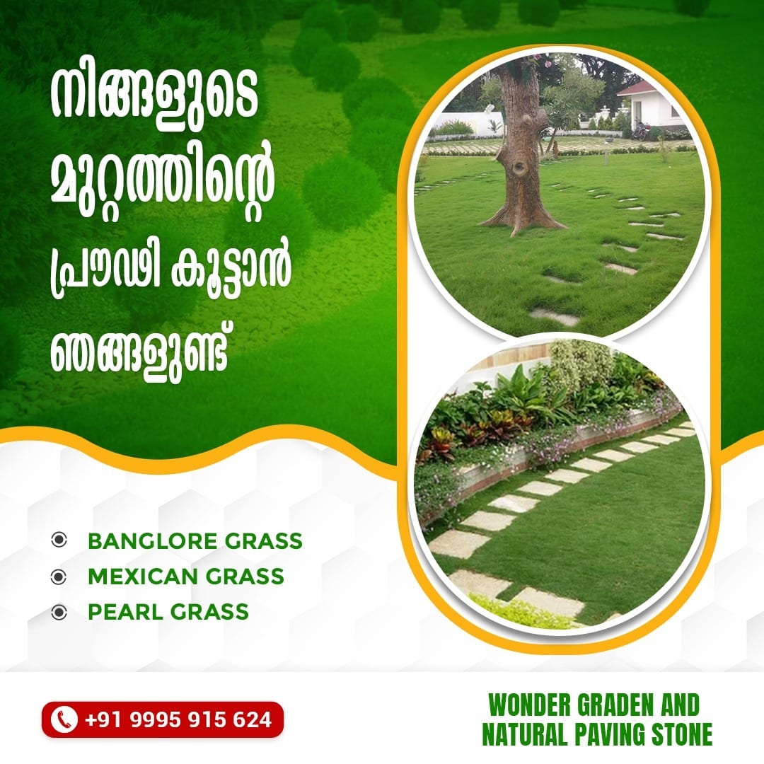 Best Natural Stone With Grass Work Rajakumari Rajakkad Santhanpara Elappara Marayoor Kuttikkanam Kanjikuzhi Moolamattom