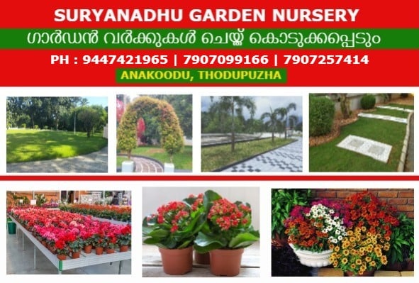 Excellent Garden Designing Work Rajakumari Rajakkad Santhanpara Elappara Marayoor Kuttikkanam Kanjikuzhi Moolamattom