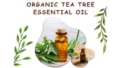 Organic-Tea-Tree-Essential-Oil