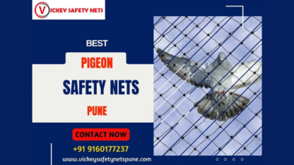 Pigeon-Safety-Nets-in-Pune