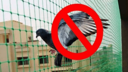 Top-Pigeon-Safety-Nets-in-Bangalore