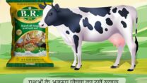 Binola Khal Supplier in Haryana