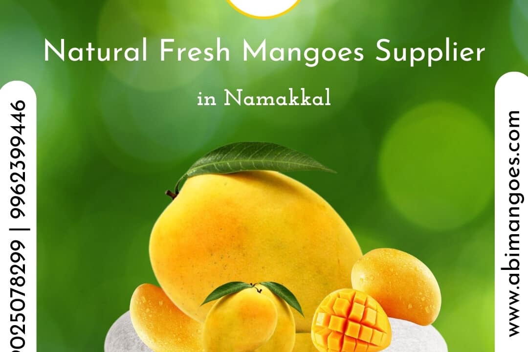 Best Online Sellers of Tasty and Natural Mangoes in Namakkal | Abi Mango Farm
