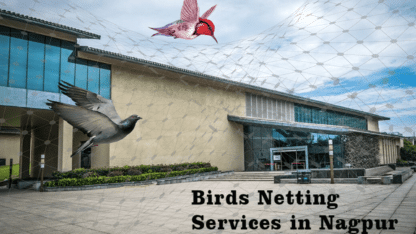 Anti-Bird-Netting-Services-in-Nagpur