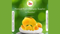 Best Online Sellers of Tasty and Natural Mangoes in Namakkal | Abi Mango Farm