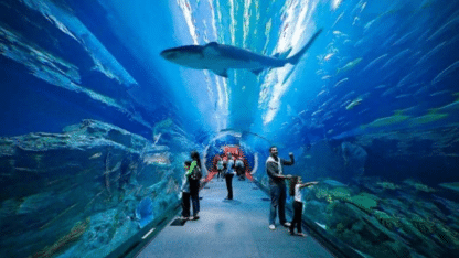 Dubai-Mall-Aquarium-and-Underwater-Zoo-Tickets