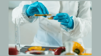 Food-Testing-Laboratory-in-Coimbatore-STS-Lab