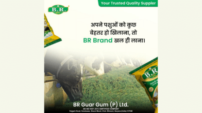 Guar-Gum-in-Haryana