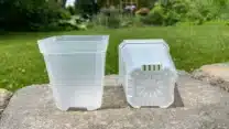 Enhance Growth with Clear Orchid Pots From Green Barn Orchid