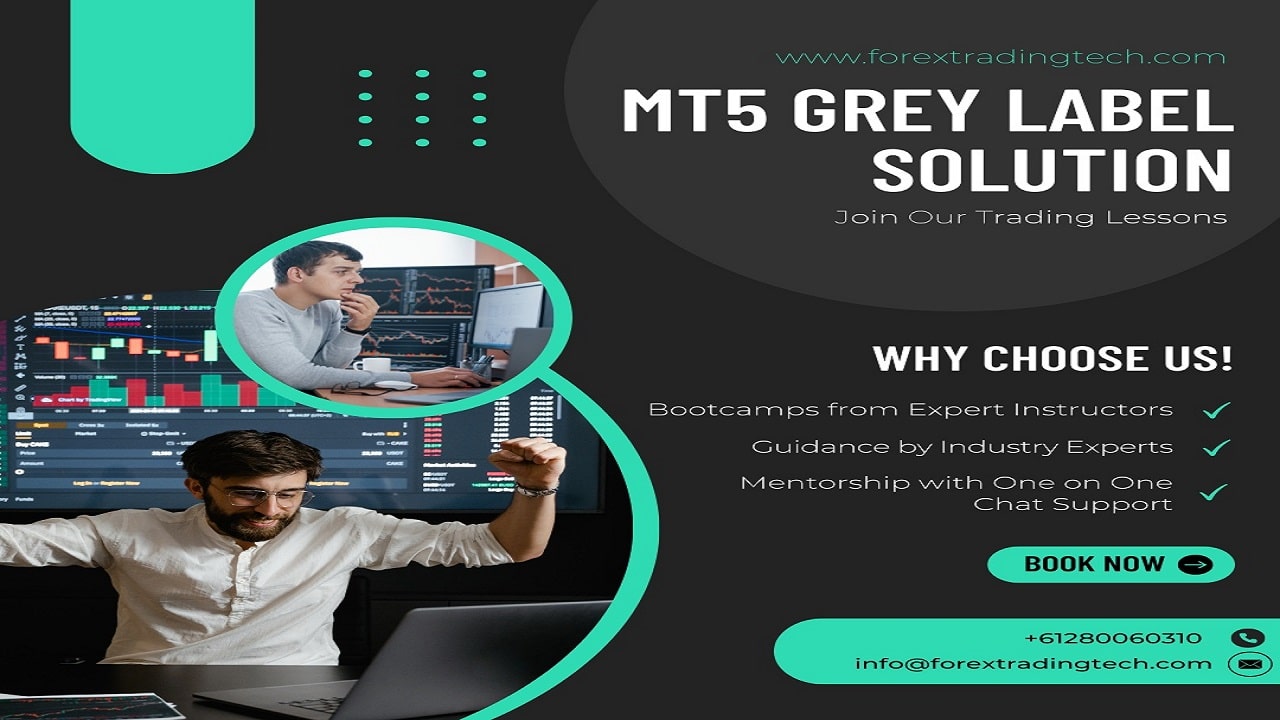 Best MT5 Grey Label Solution | Forex Trading Tech