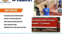 Packers and Movers in Panipath | DTC Express