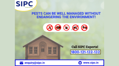 Pest-Control-Services-in-Hyderabad-South-India-Pest-Control-1