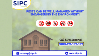 Pest-Control-Services-in-Hyderabad-South-India-Pest-Control