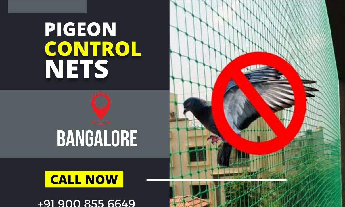 Eradicating Urban Bird Woes – Pigeon Control Nets Take Flight in Bangalore