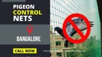 Eradicating Urban Bird Woes – Pigeon Control Nets Take Flight in Bangalore
