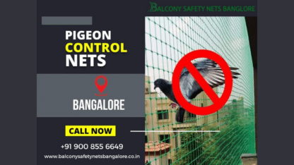 Pigeon-Control-Nets-in-Bangalore.jpg