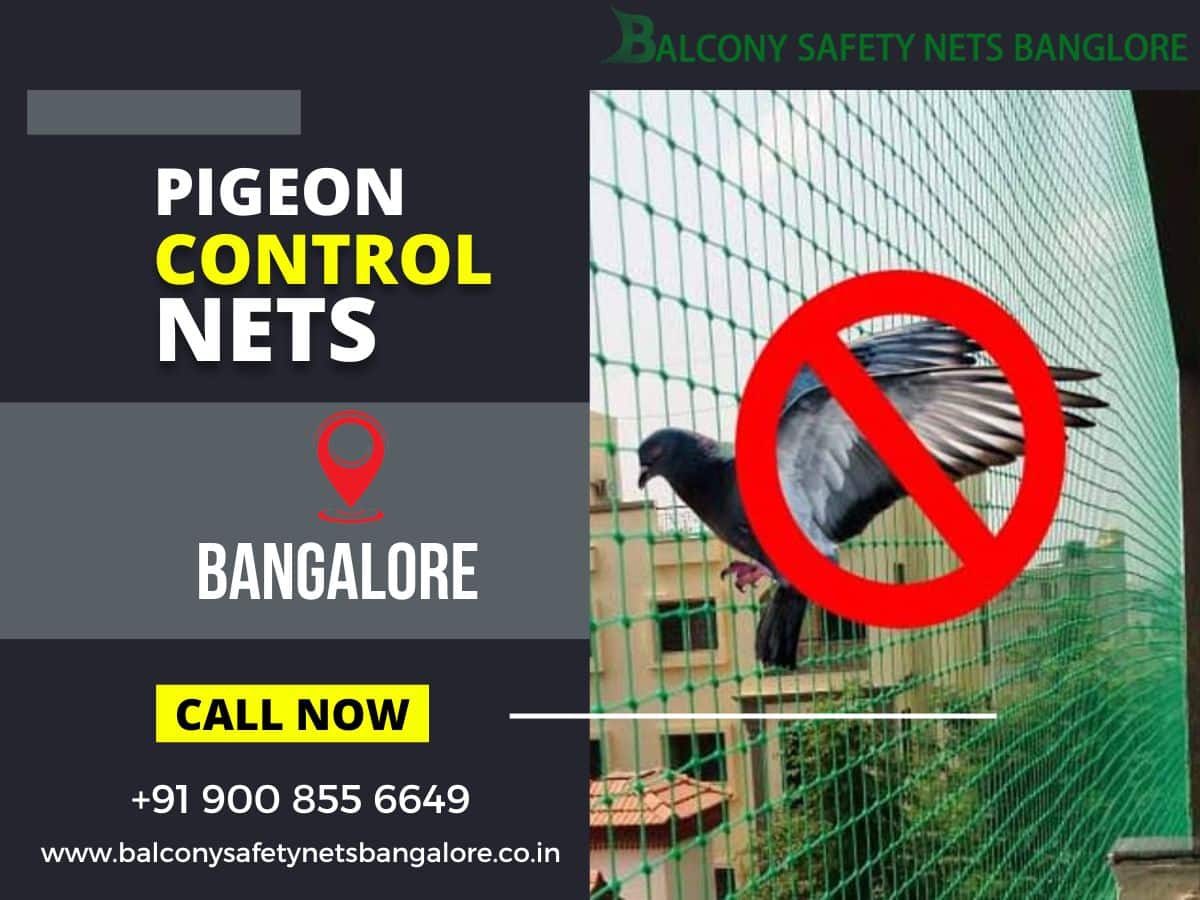 Eradicating Urban Bird Woes - Pigeon Control Nets Take Flight in Bangalore