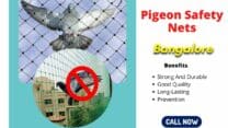 Ensure Pigeon Safety with Reliable Nets in Bangalore | Prestige Safety Nets