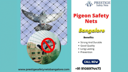 Pigeon-Safety-Nets-in-Bangalore