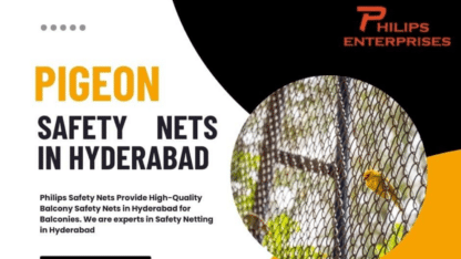 Pigeon-Safety-Nets-in-Hyderabad-Philips-Enterprises