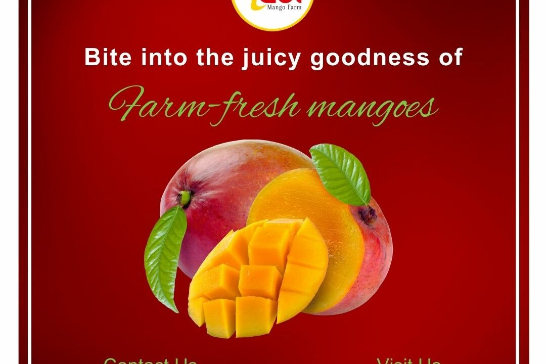 Abi Mangoes is Regarded as One of The Top Online Mango Seller in Namakkal