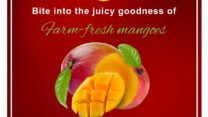 Abi Mangoes is Regarded as One of The Top Online Mango Seller in Namakkal