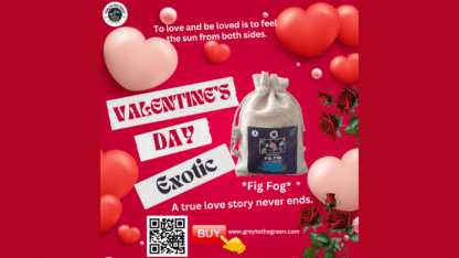 Valentines-Day-Fig-Fog-Jadu-Ki-Potli-Quantum-Innovation