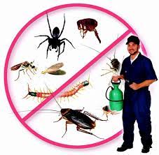 Pest Control Bangalore Karnataka | A to Z Pest Solutions