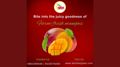 Abi-Mangoes-is-Regarded-as-One-of-The-Top-Online-Mango-Seller-in-Namakkal