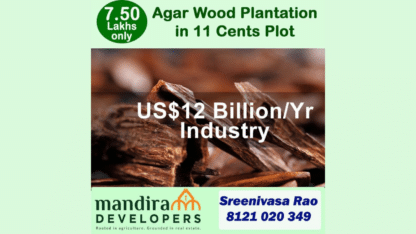 Agarwood-Plantation-Plots-in-Guntur