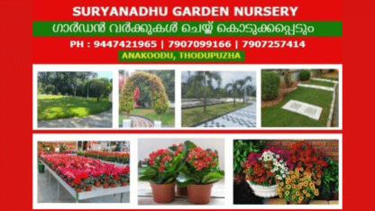 Artificial-Grass-For-Garden-Rajakumari-Rajakkad-Santhanpara-Elappara-Marayoor-Kuttikkanam-Kanjikuzhi-Moolamattom