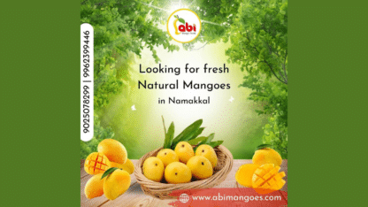Best-Mango-Farm-in-Namakkal.jpg