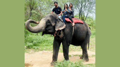 Discover-Jaipurs-Enchanting-Elephants-with-Elefriendride