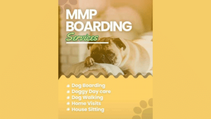 Dog-Boarding-Services-in-Bangalore.jpg
