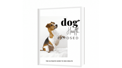 Dog-Health-eBook-Tennis-Ball-Machine-Automatic-Throw-Pet-1