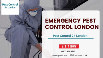 Emergency-Pest-Control-London_2.jpg