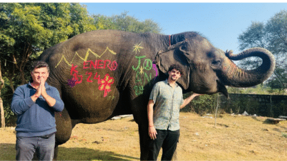 Experience-Majestic-Elephant-Adventures-in-Jaipur-with-Elefriendride